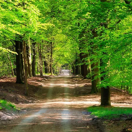 Serendipity - Nature In Luxury Beekbergen Exterior photo
